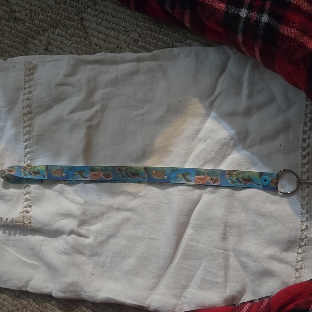 Turtle Lanyard